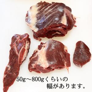 [試作品/格安] えぞ鹿肉 大きな切り落とし ...の詳細画像1