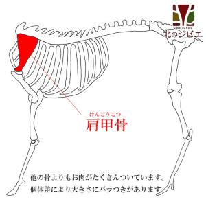 【在庫一掃】エゾ鹿 肩甲骨(へら骨)【1人2個まで】の詳細画像1