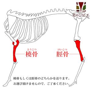 [sale!7/6 09時まで]【在庫一掃】エ...の詳細画像1