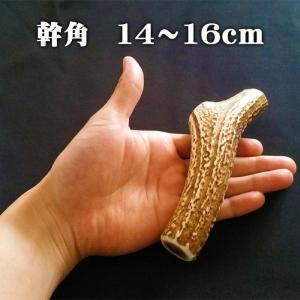 鹿角】おまかせ 枝角 14cm〜16cm 用途自由 ペットおもちゃ