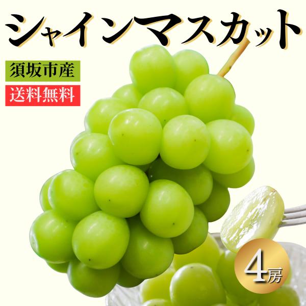 ぶどう ギフト 贈答用 長野県 須坂市産 シャインマスカット 4房 節減対象農薬：栽培期間中不使用 ...