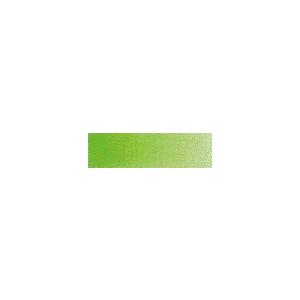 ビビットグリーン チューブ(5ml) ラウニー透...の商品画像