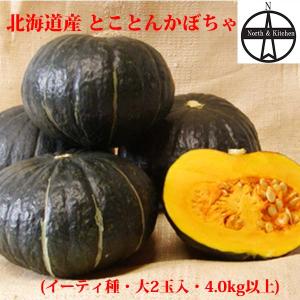 北海道日原農園 とことんかぼちゃ(イーティ種)大2玉入