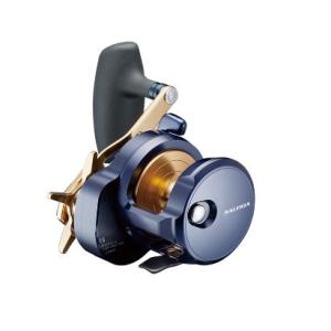 DAIWA（ダイワ） ライトゲーム RXIC 300P 300PL ベイトリール