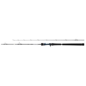 DAIWA（ダイワ） ソルティガ J TECHNICAL STEER 55S-3 スピニング