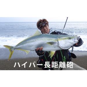 ビームスリプラウト9.0M+ フィッシュマン Fishman : NorthCastヤフー店