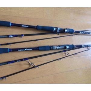 ビームスリプラウト9.0M+ フィッシュマン Fishman : NorthCast ビームスリプラウト9.0M+ フィッシュマン Fishman : NorthCast