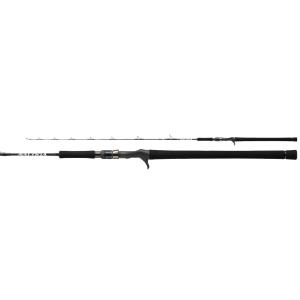 DAIWA（ダイワ） ソルティガ J TECHNICAL STEER 55S-3 スピニング