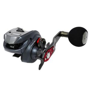DAIWA（ダイワ） ティエラ LJ IC 300H 300HL DAIWA : NorthCastヤフー