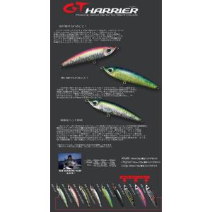 RaPaLa（ラパラ） カフカ210 ショアスペシャル 210mm 121g ヤンバル