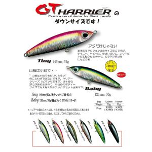 RaPaLa ヤンバルアートクラフト アクト+ 210mm 126g シンキング