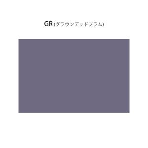 ザ・ノース・フェイス THE NORTH FA...の詳細画像4
