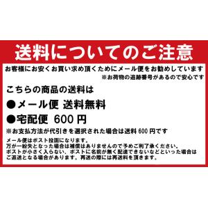 セール ザ・ノース・フェイス ショートスリーブ...の詳細画像2