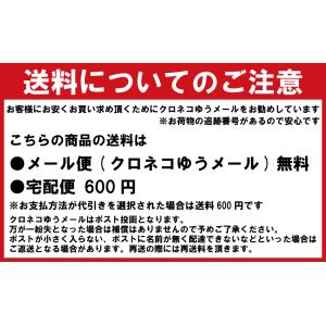 GWも毎日発送 セール ノースフェイス ジオフ...の詳細画像4