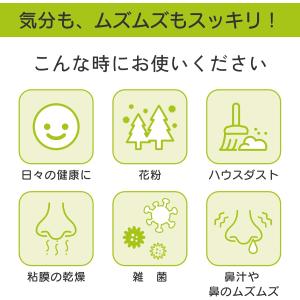 送料無料 パスクリエイト 鼻うがい専用洗浄剤 ...の詳細画像1