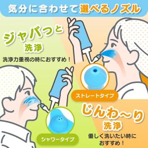 送料無料 パスクリエイト 鼻うがい専用洗浄剤 ...の詳細画像5