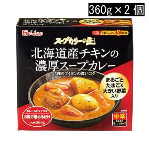ハウス スープカリーの匠 北海道産チキンの濃厚スープカレー 360g×2個