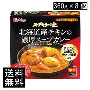 送料無料 ハウス スープカリーの匠 北海道産チキンの濃厚スープカレー 360g×8個｜ノースフーズ
