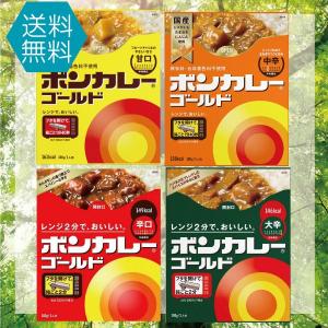 大塚 ボンカレーゴールド 4種類から2個選択｜northfoods