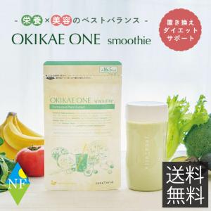 置き換えダイエット ドリンク「OKIKAE ONE smoothie」オキカエワンスムージー 約30回分　送料無料｜northfoods