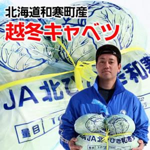 【数量限定！】甘くてシャキシャキ感抜群！北海道和寒町産★元祖越冬キャベツ / 10Kg入　※お届け日の指定不可