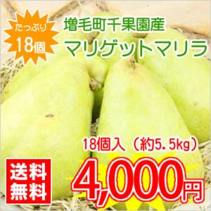 【送料無料】北海道増毛町産洋梨★マリゲットマリーラ【18個入/5.5kg前後】　※お届け日の指定不可！お届けは9月下旬以降を予定しています。