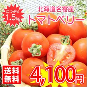 【送料無料】今話題のミニトマト★北海道名寄産トマ...の商品画像