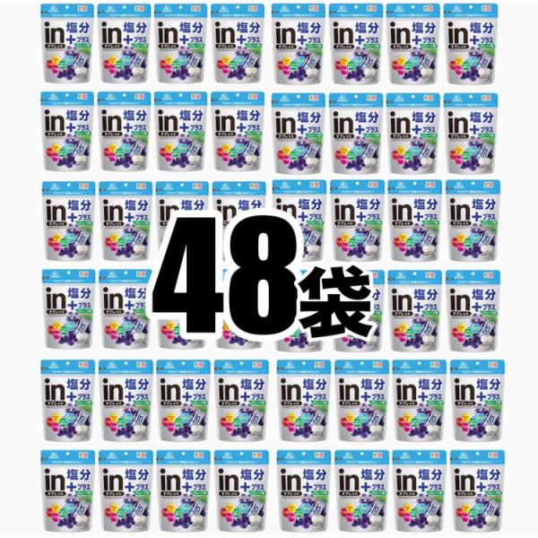 塩分プラス in タブレット グレープ味 ぶどう 48袋 塩分チャージ 熱中症対策 熱中症予防 熱中...