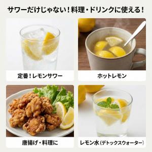 【KIMONO FRUITS】国産冷凍レモン(...の詳細画像2