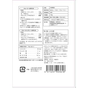 【KIMONO FRUITS】サングリア用 冷...の詳細画像5