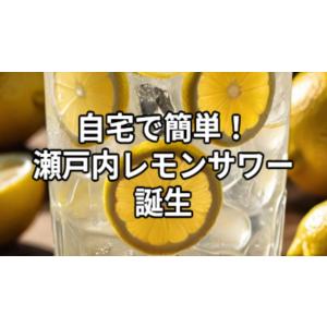【KIMONO FRUITS】冷凍瀬戸内レモン...の詳細画像3
