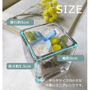 小さなプリザーブドフラワー【送料無料】ガラスの...の詳細画像3