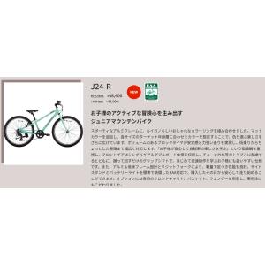2026モデル LOUIS GARNEAU ル...の詳細画像4