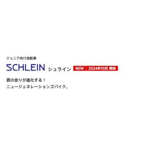 ブリヂストンサイクル 子供用自転車 24インチ...の詳細画像5