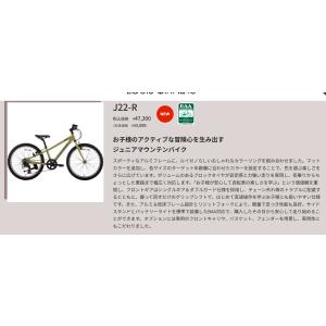 2026モデル LOUIS GARNEAU ル...の詳細画像4