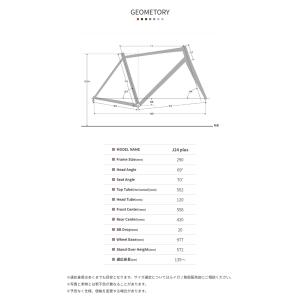 LOUIS GARNEAU ルイガノ J24p...の詳細画像5