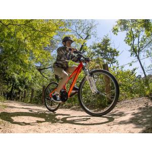 2026モデル LOUIS GARNEAU ル...の詳細画像1