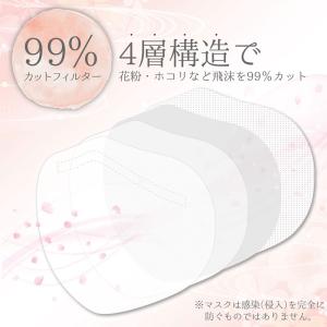 マスク 不織布 不織布マスク 立体 おしゃれ ...の詳細画像3