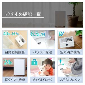 除湿機 衣類乾燥 小型 家庭用 コンプレッサー...の詳細画像4