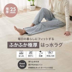 ラグマット ラグ 2畳 厚手 洗える 北欧 低...の詳細画像2