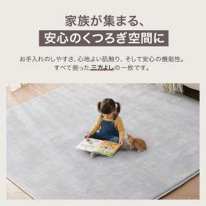 ラグマット ラグ 2畳 厚手 洗える 北欧 低...の詳細画像3