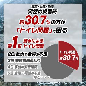 非常用トイレセット 20回 非常用トイレ 凝固...の詳細画像1