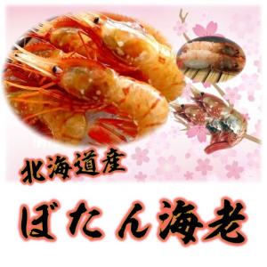 生冷（ぼたん海老）特大500g約7尾〜10尾前後