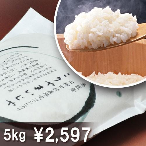 能登米 こりゃまいじゃ 5kg 地元の人が自分達のために作った米 能登のお米が本当に美味しんです 復...