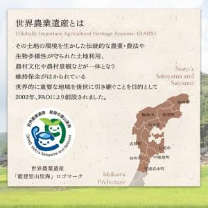 ジェラート ギフト 8個セット マルガージェラ...の詳細画像3