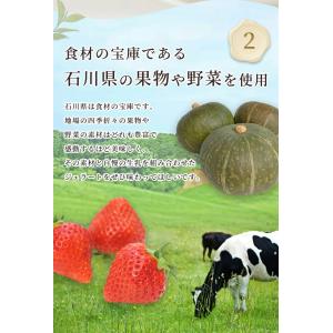ジェラート ギフト 8個セット マルガージェラ...の詳細画像5