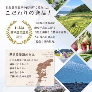 能登応援セット 5000円 復興支援 復興 応...の詳細画像5