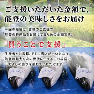 能登応援セット 5000円 復興支援 復興 応...の詳細画像2