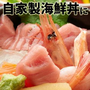 鮮魚 セット 能登直送 おまかせ 旬の魚 朝ど...の詳細画像2