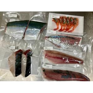 鮮魚 セット 能登直送 おまかせ 旬の魚 朝ど...の詳細画像3